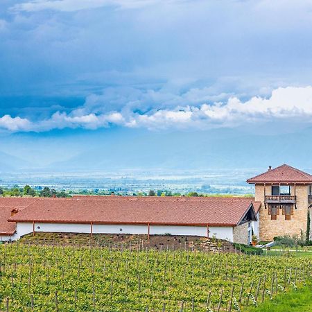 Chateau Mosmieri Hotel & Winery Telavi Exteriér fotografie