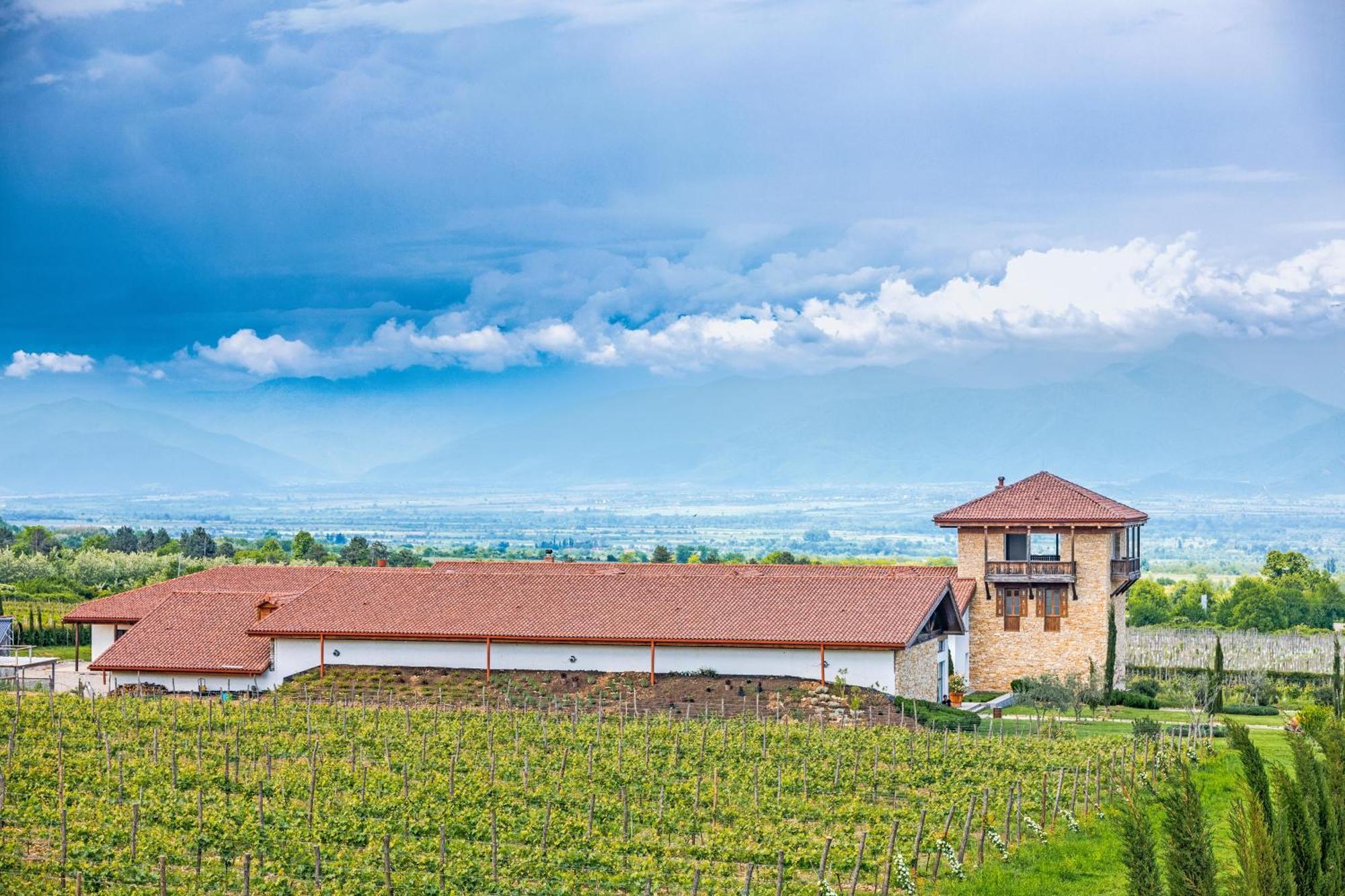Chateau Mosmieri Hotel & Winery Telavi Exteriér fotografie