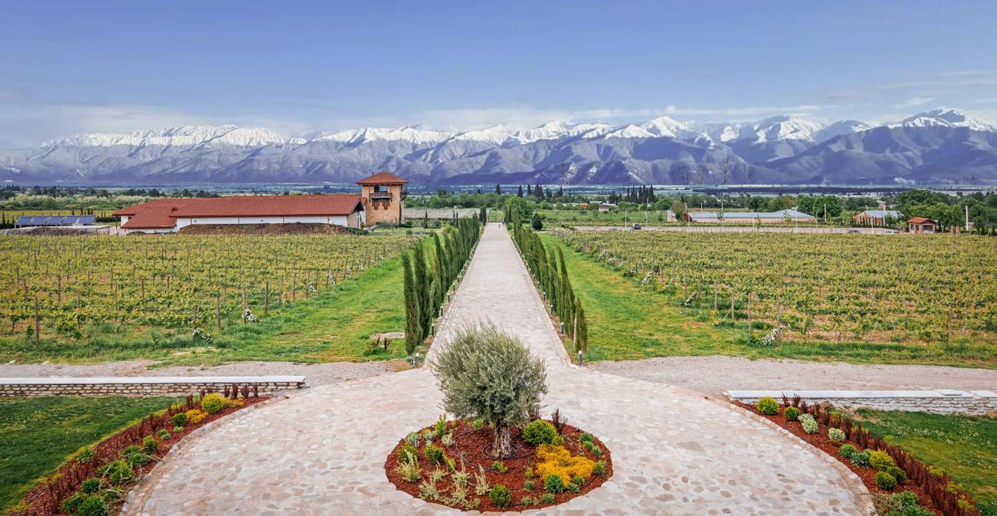 Chateau Mosmieri Hotel & Winery Telavi Exteriér fotografie